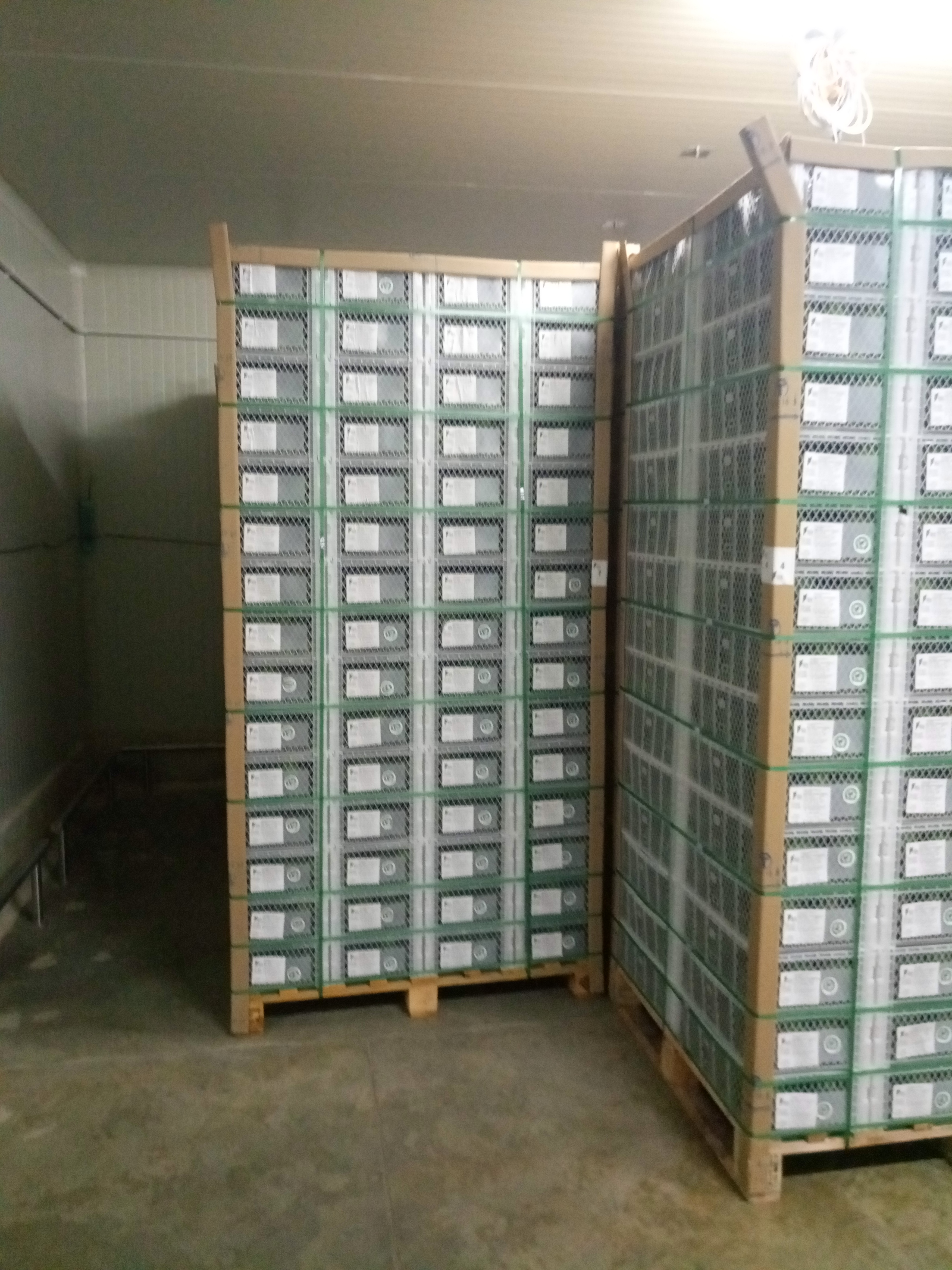 Fruta fresca Dorado División